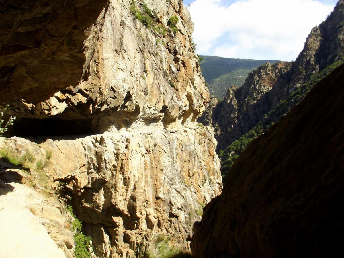 فيلا Corneilla-de-Conflentفي Chalet Mont Canigo المظهر الخارجي الصورة